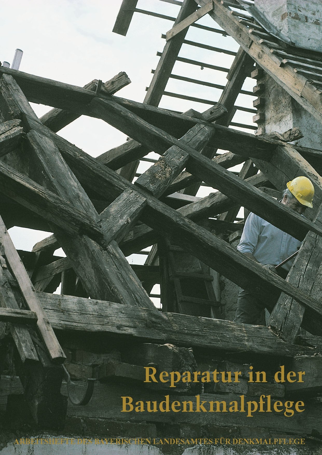AH 101 - Reparatur in der Baudenkmalpflege. Das Bayerische Bauarchiv Thierhaupten book