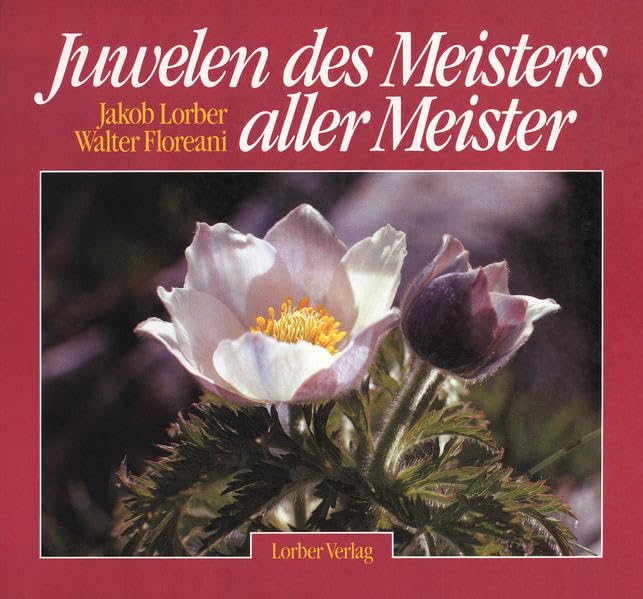 Juwelen des Meisters aller Meister, Bd.1 - Lorber, Jakob book