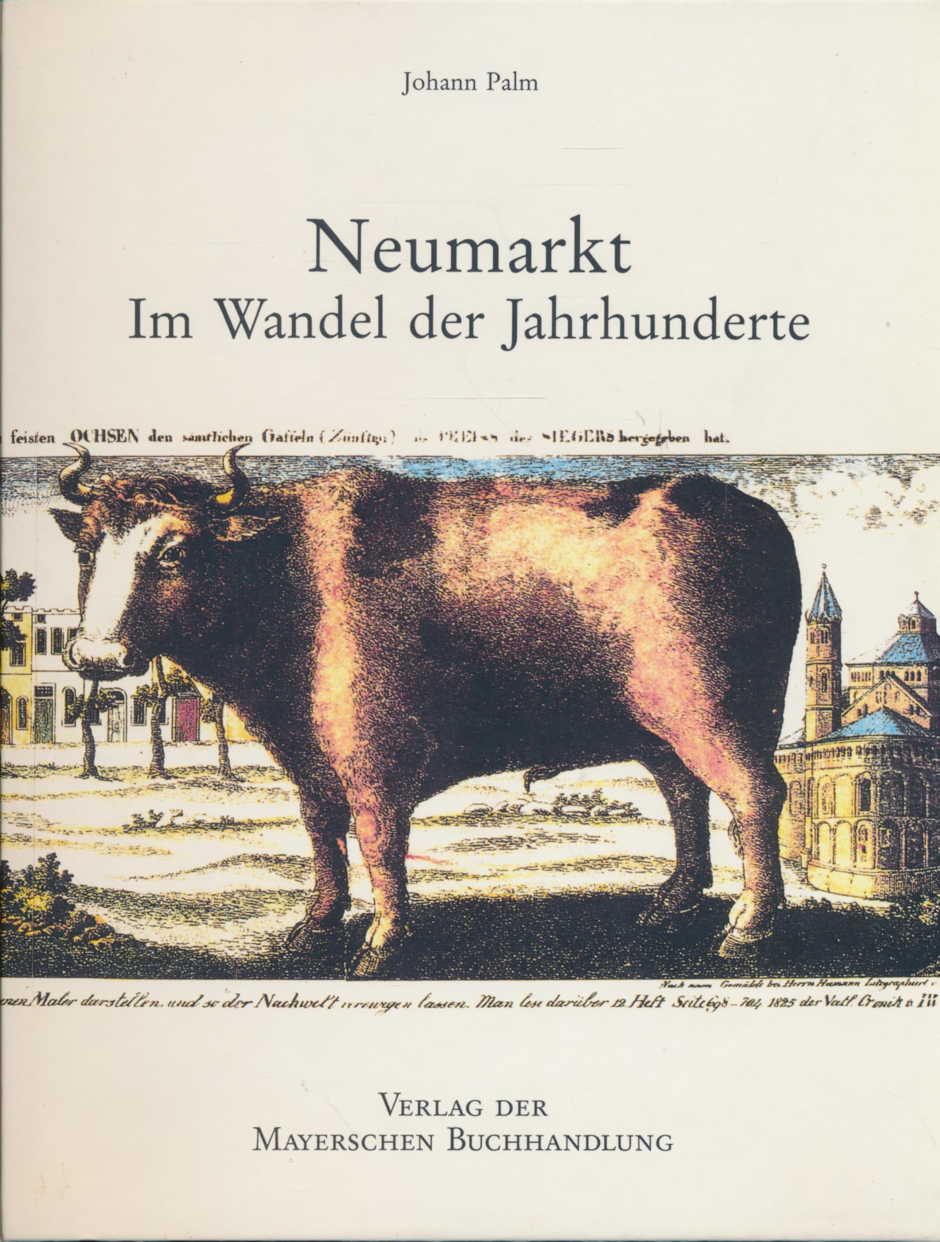 Neumarkt. Im Wandel der Jahrhunderte. Books