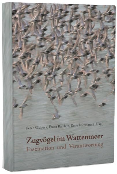 Zugvögel im Wattenmeer: Faszination und Verantwortung Architecture