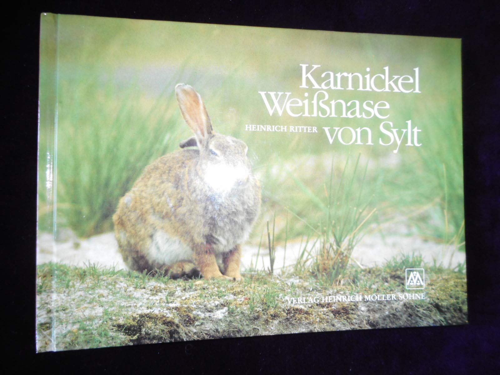 Product Image: Karnickel Weißnase von Sylt