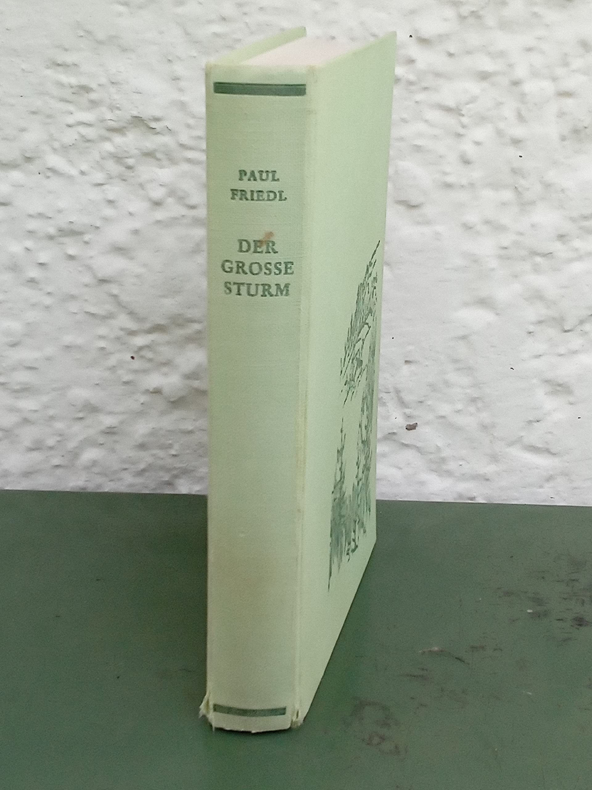 Der grosse Sturm Contemporary literature