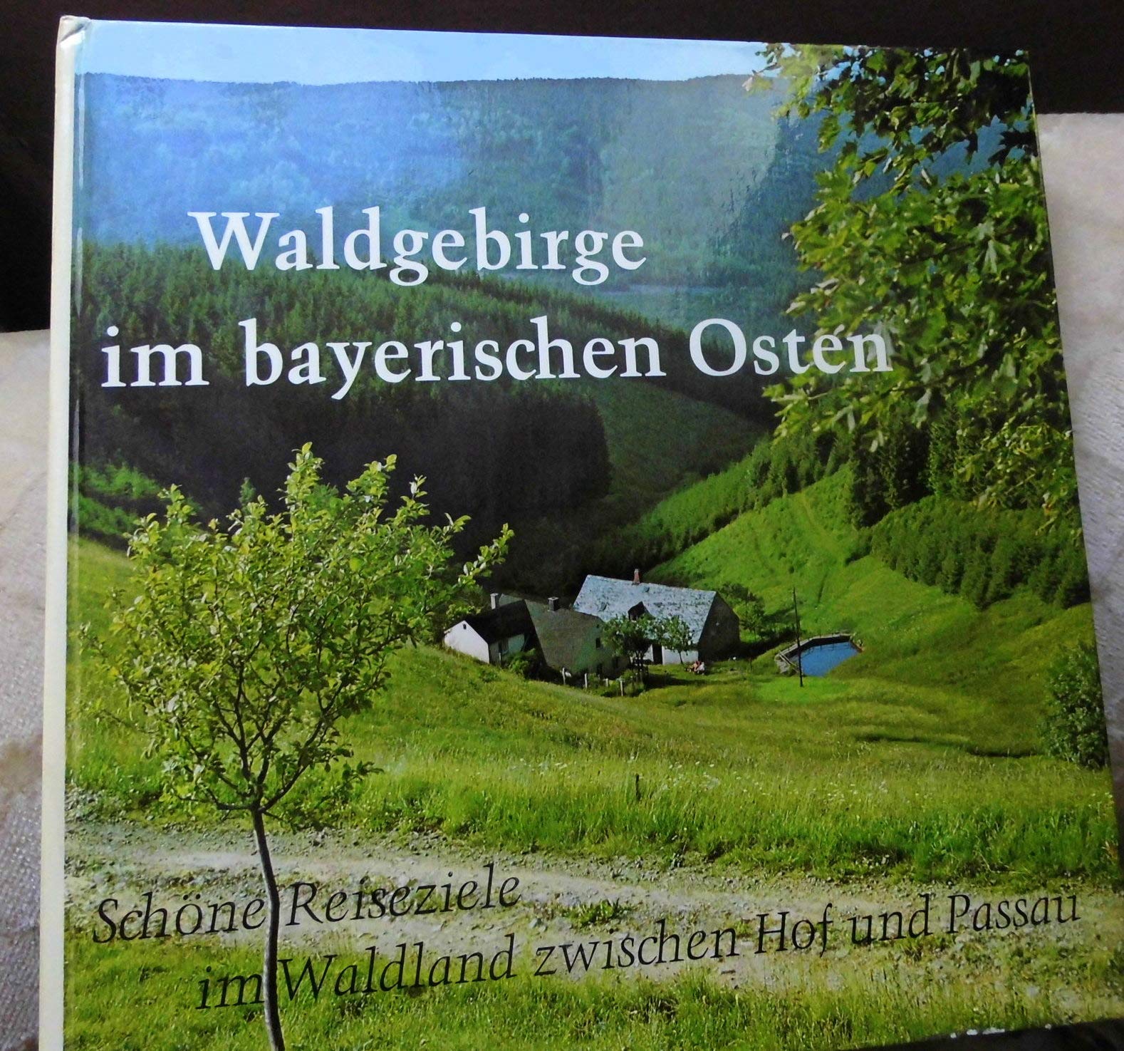 Waldgebirge im bayerischen Osten Books