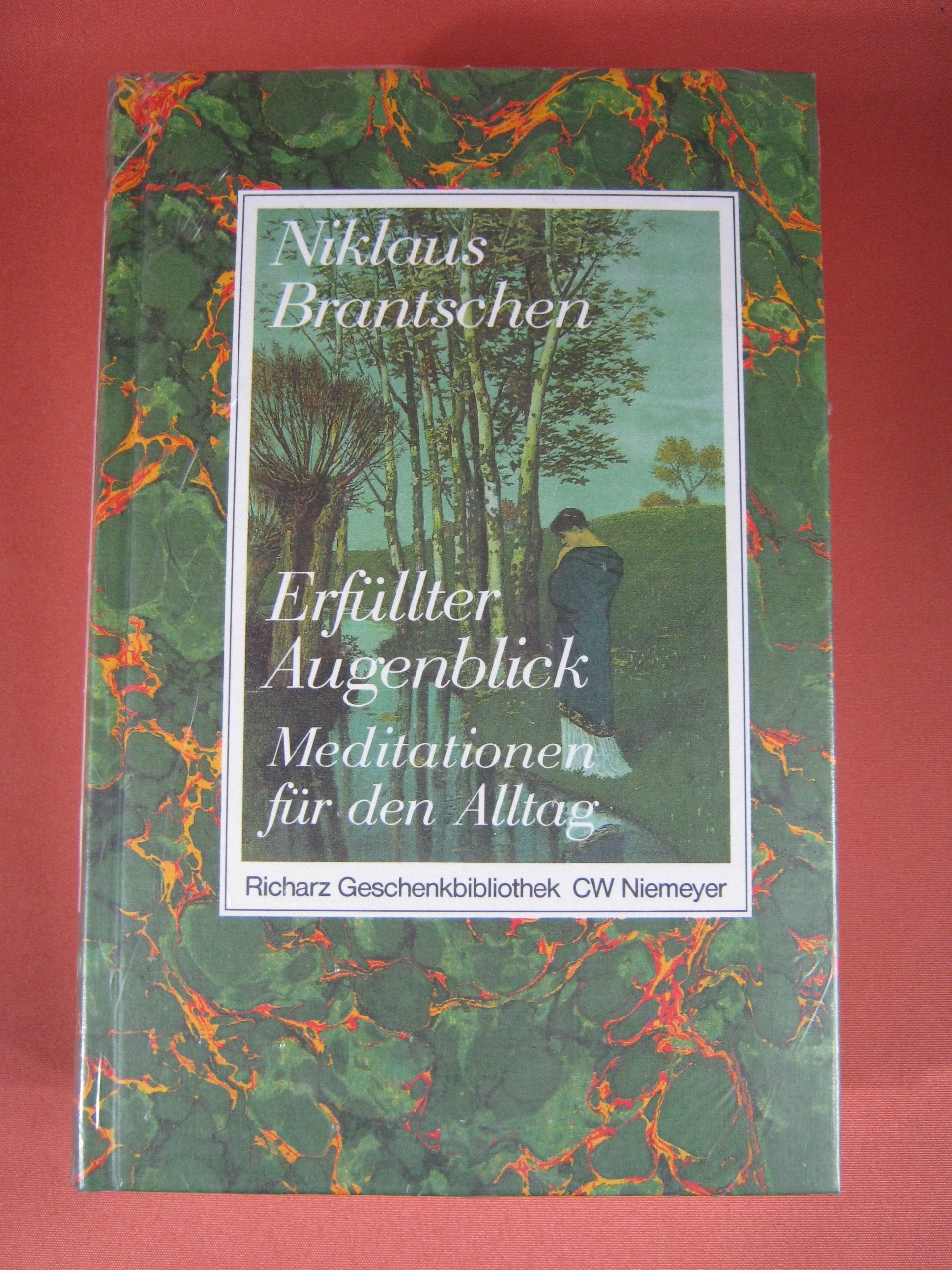 Erfüllter Augenblick: Meditationen für den Alltag (Richarz Geschenkbibliothek im Verlag C W Niemeyer. Grossdruckreihe / Bücher in grosser Schrift) Self-help