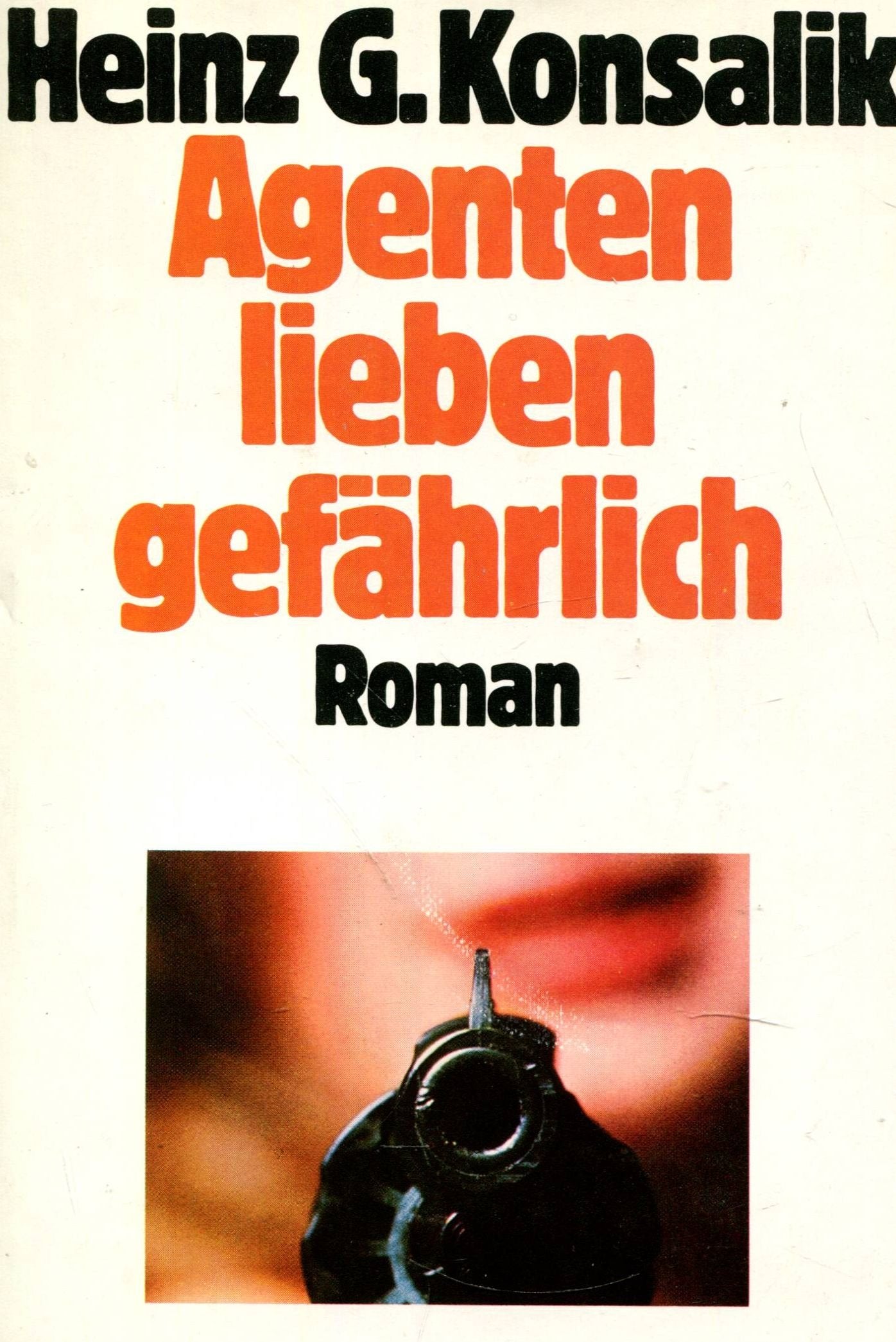 Agenten lieben gefährlich: Roman (Edition Richarz im Verlag C W Niemeyer. Grossdruckreihe / Bücher in grosser Schrift) Books