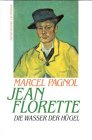 Jean Florette /Die Wasser der Hügel: Roman (Edition Richarz im Verlag C W Niemeyer. Grossdruckreihe / Bücher in grosser Schrift) Books