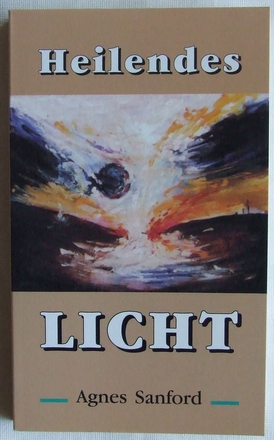 Heilendes Licht Politics & Society Books