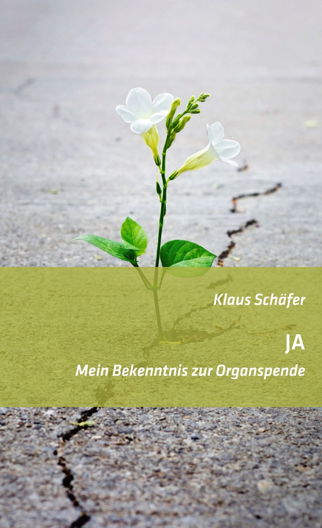 JA - Mein Bekenntnis zur Organspende book