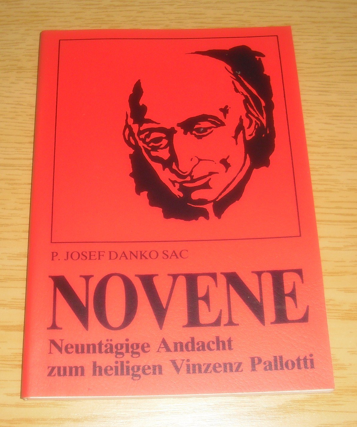Neuntägige Novene zum heiligen Vinzenz Pallotti Religion & Esotericism