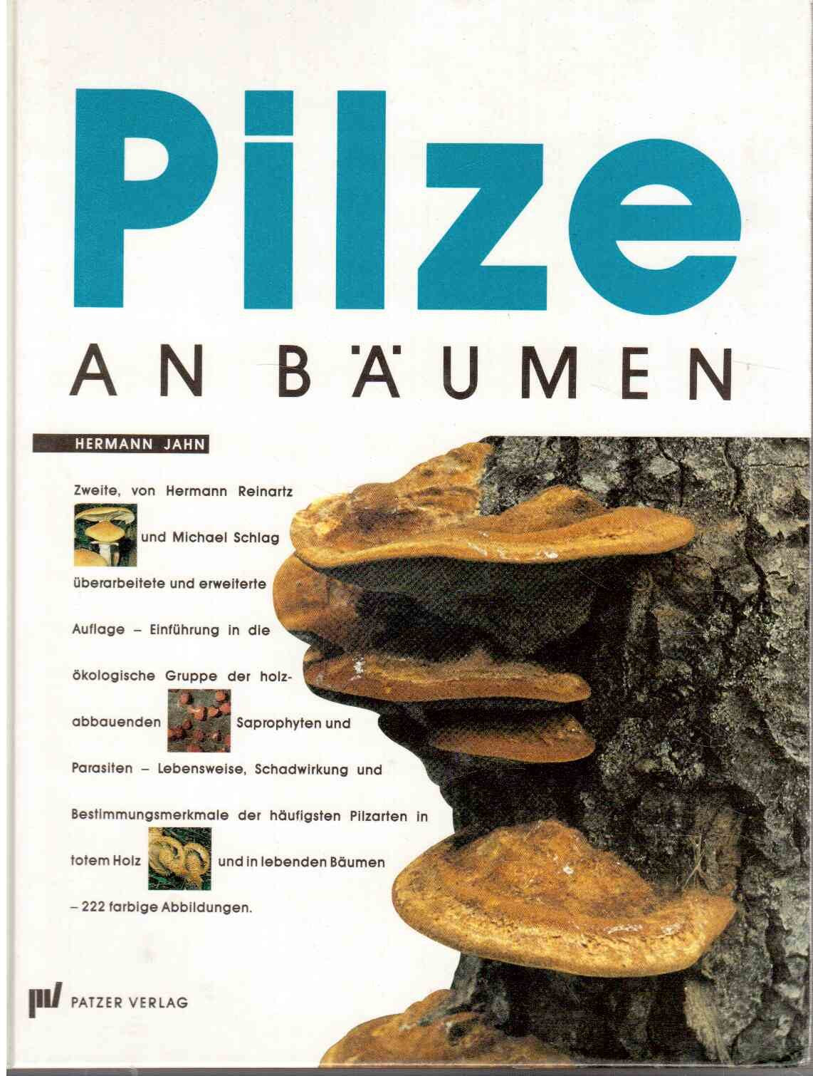 Pilze an Bäumen. Saprophyten und Parasiten, die an Holz wachsen Natural Sciences