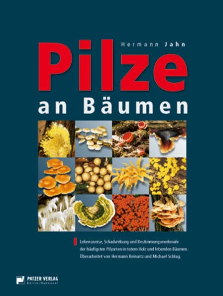 Pilze an Bäumen: Saprophyten und Parasiten, die an Holz wachsen Natural Sciences