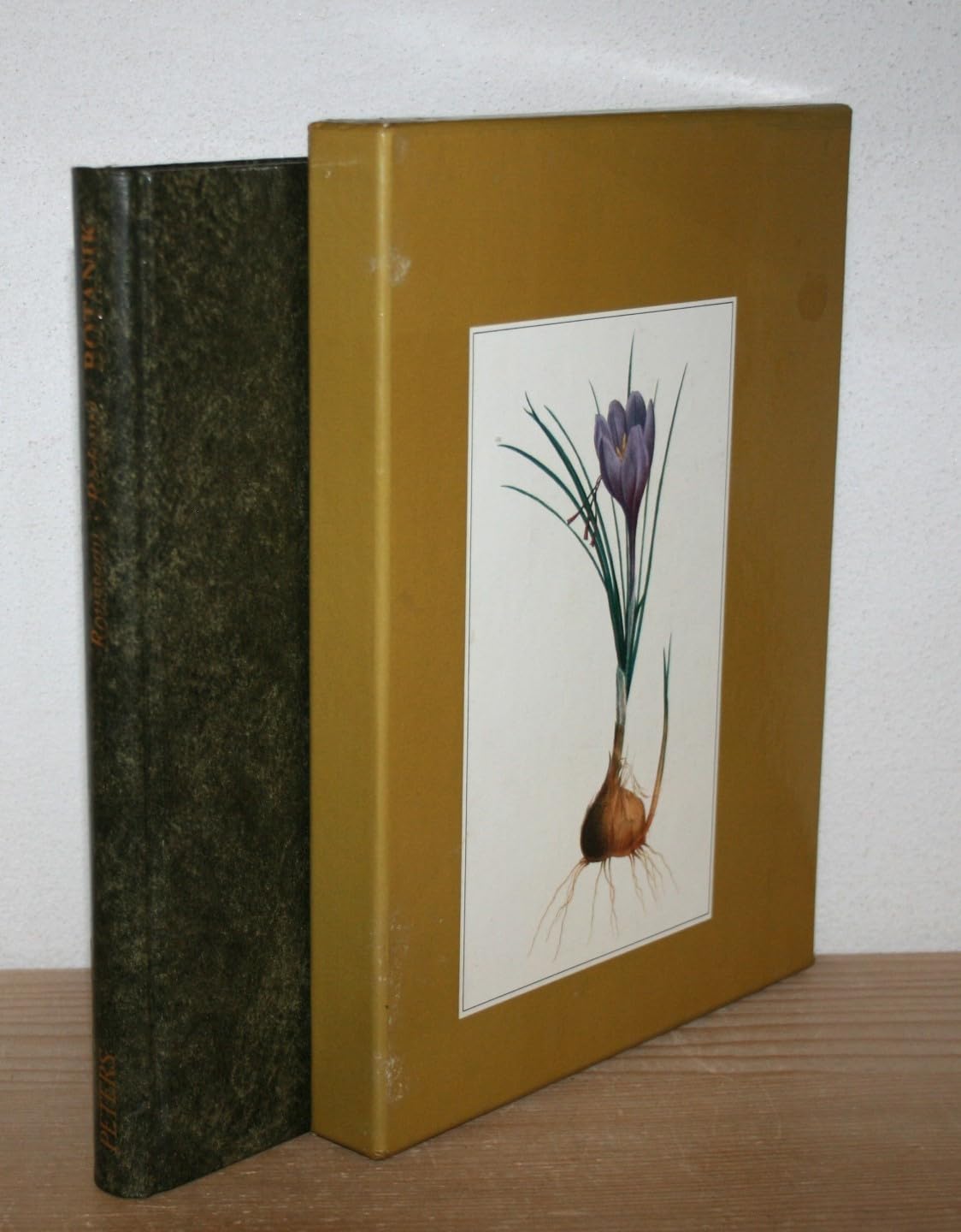 Botanik für artige Frauenzimmer: Lehrbriefe f. e. Freundin Leisure, Home & Garden