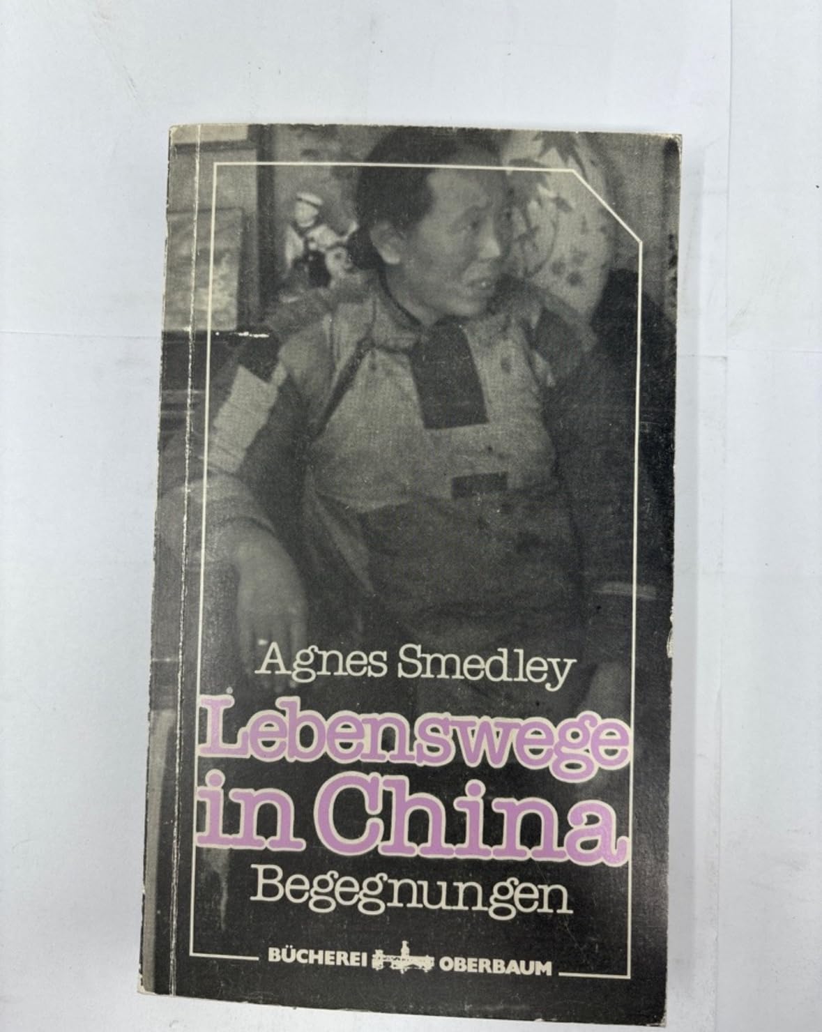 Lebenswege in China. Begegnungen. Books