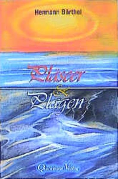 Pläseer un Plagen Contemporary literature Books