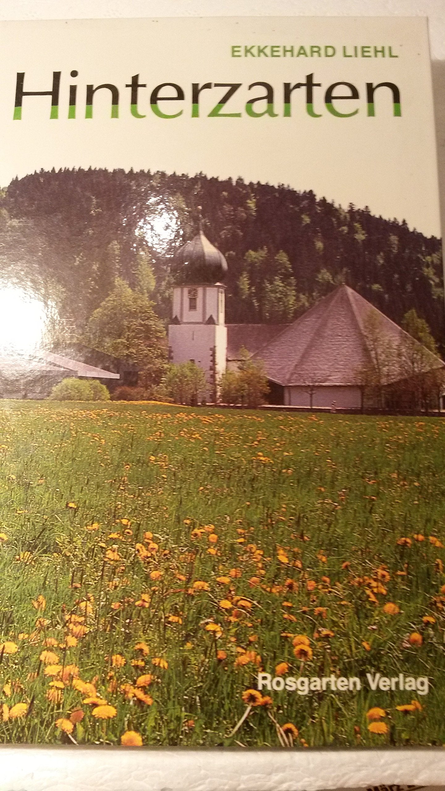 Hinterzarten: Gesicht und Geschichte einer Schwarzwaldlandschaft Politics & History