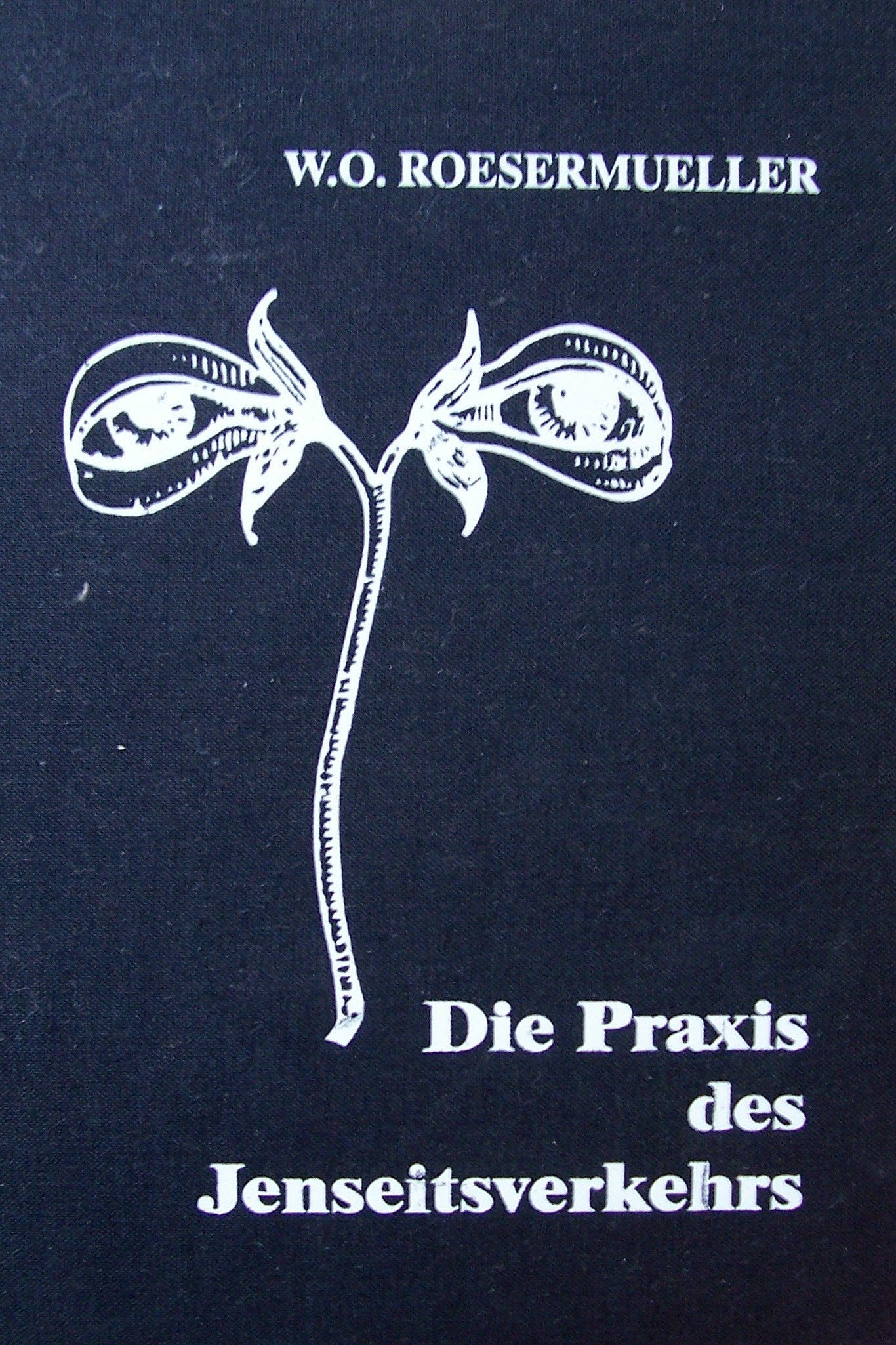Die Praxis des Jenseitsverkehrs: Anleitung zur Entdeckung und Erschließung medialer Fähigkeiten und zum Verkehr mit Jenseitigen auf Grund der Forschungen der Parapsychologen Religion & Esotericism