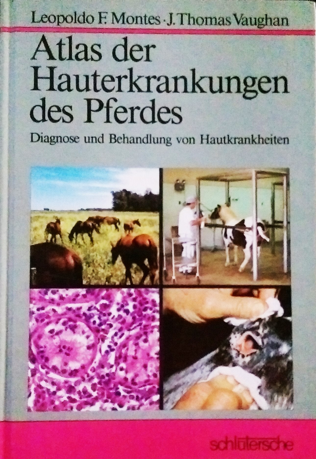 Atlas der Hauterkrankungen des Pferdes: Diagnose und Bahandlung von Hautkrankheiten Medicine