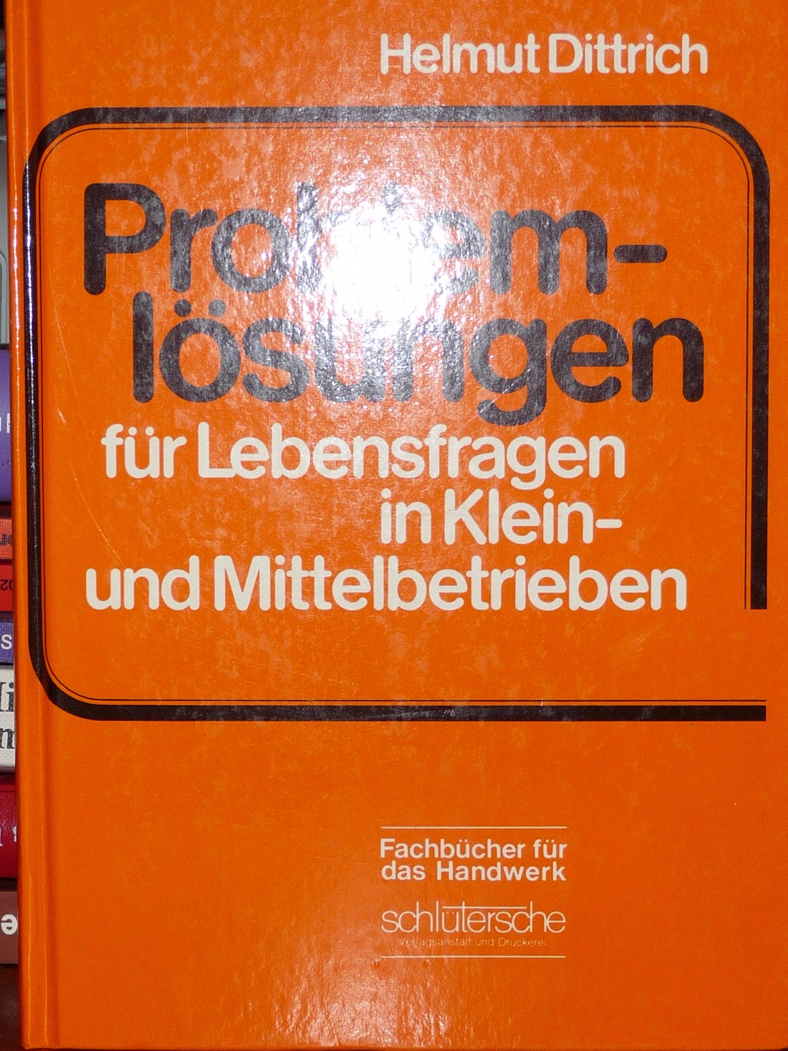 Problemlösungen für Lebensfragen in Klein- und Mittelbetrieben Business, Finance & Career