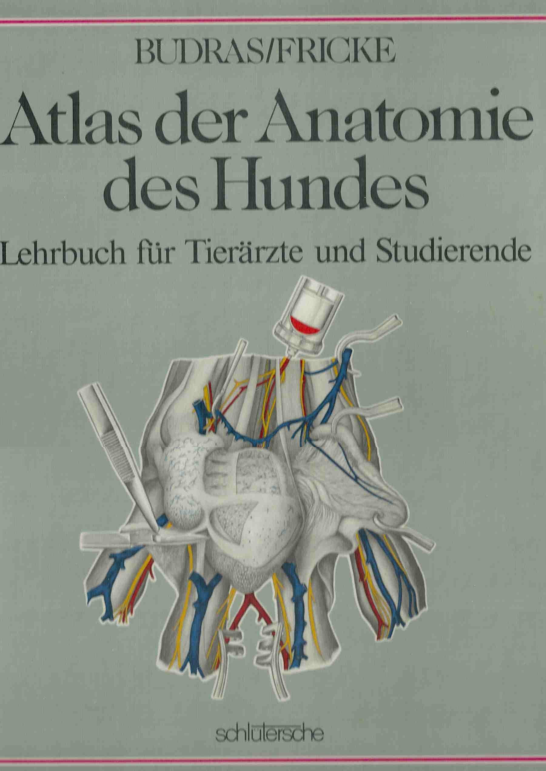 Atlas der Anatomie des Hundes: Die topographische Anatomie des Hundes in Farbe Medicine