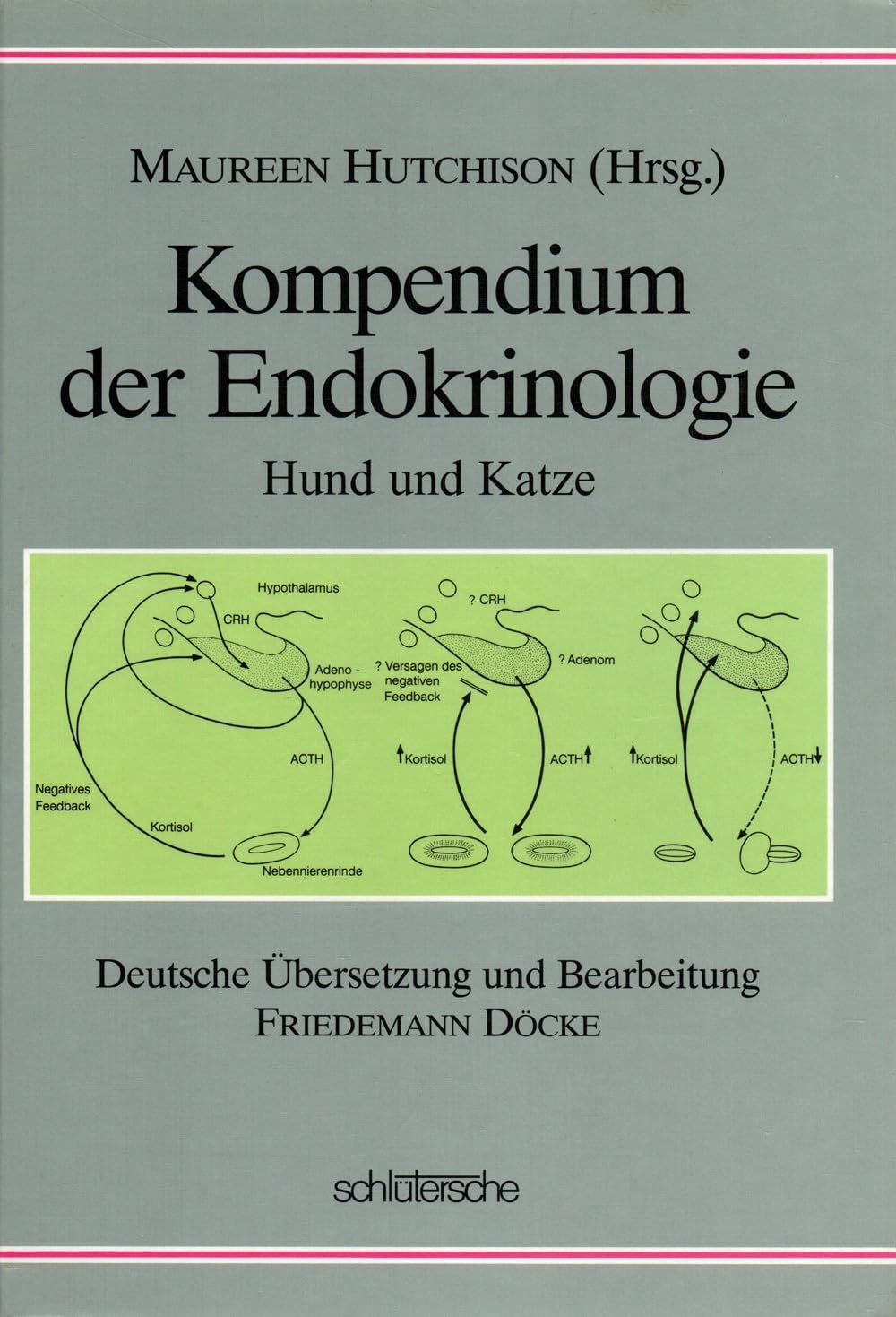 Kompendium der Endokrinologie Hund und Katze: Hund - Katze Medicine