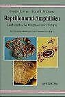 Reptilien und Amphibien: Atlas für Diagnose und Therapie Medicine