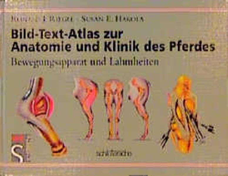Bild-Text-Atlas zur Anatomie und Klinik des Pferdes: Bewegungsapparat und Lahmheiten Medicine