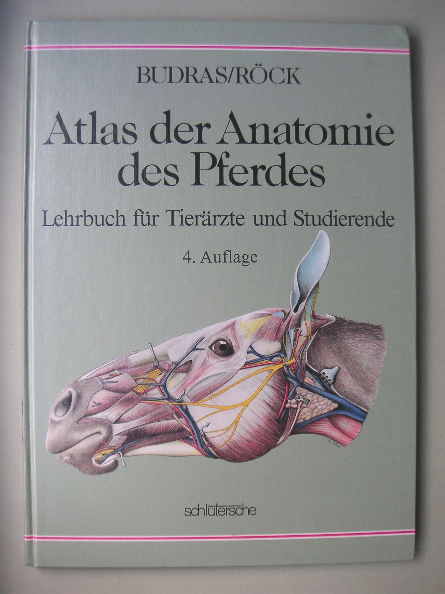 Atlas der Anatomie des Pferdes: Lehrbuch für Tierärzte und Studierende Medicine