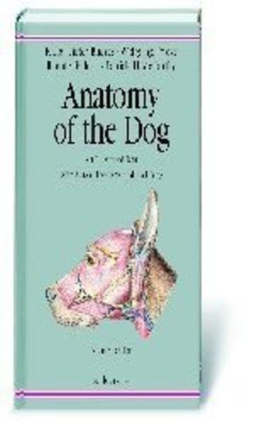 Anatomy of the Dog: An Illustrated Text book
