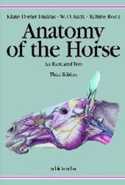 Anatomy of the Horse: An Illustrated Text Medicine