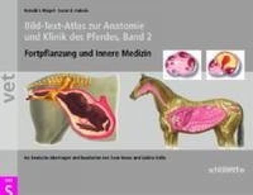Bild-Text-Atlas zur Anatomie und Klinik des Pferdes Medicine