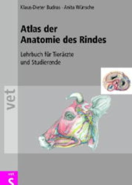 Atlas der Anatomie des Rindes: Lehrbuch für Tierärzte und Studierende Medicine