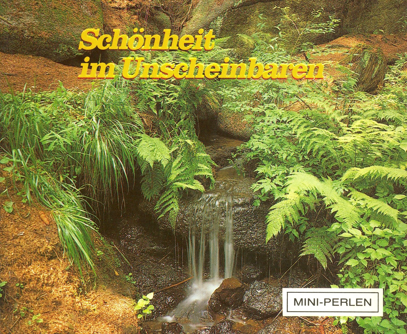 Schönheit im Unscheinbaren. Books