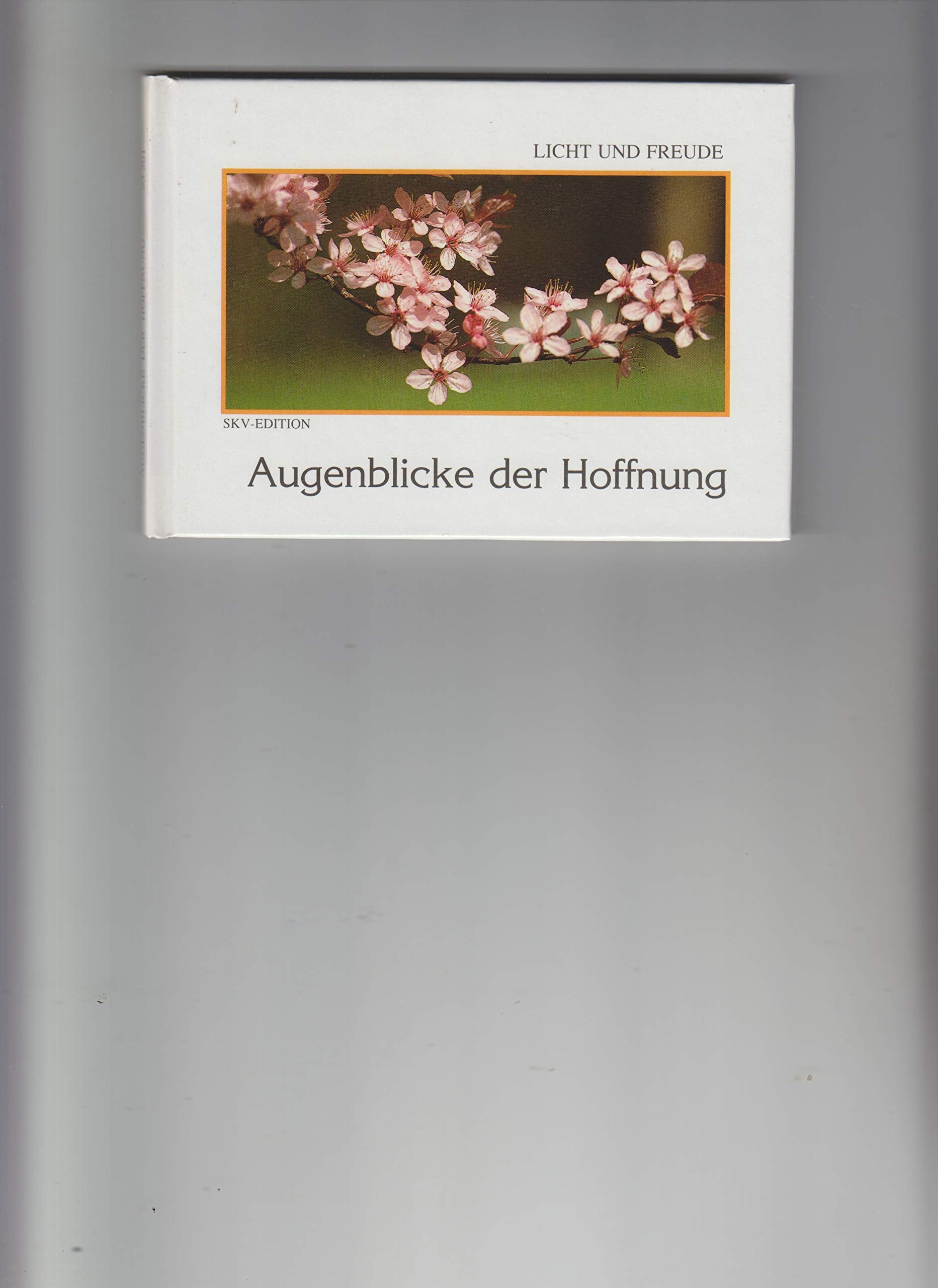 Augenblicke der Hoffnung (Licht und Freude) General education