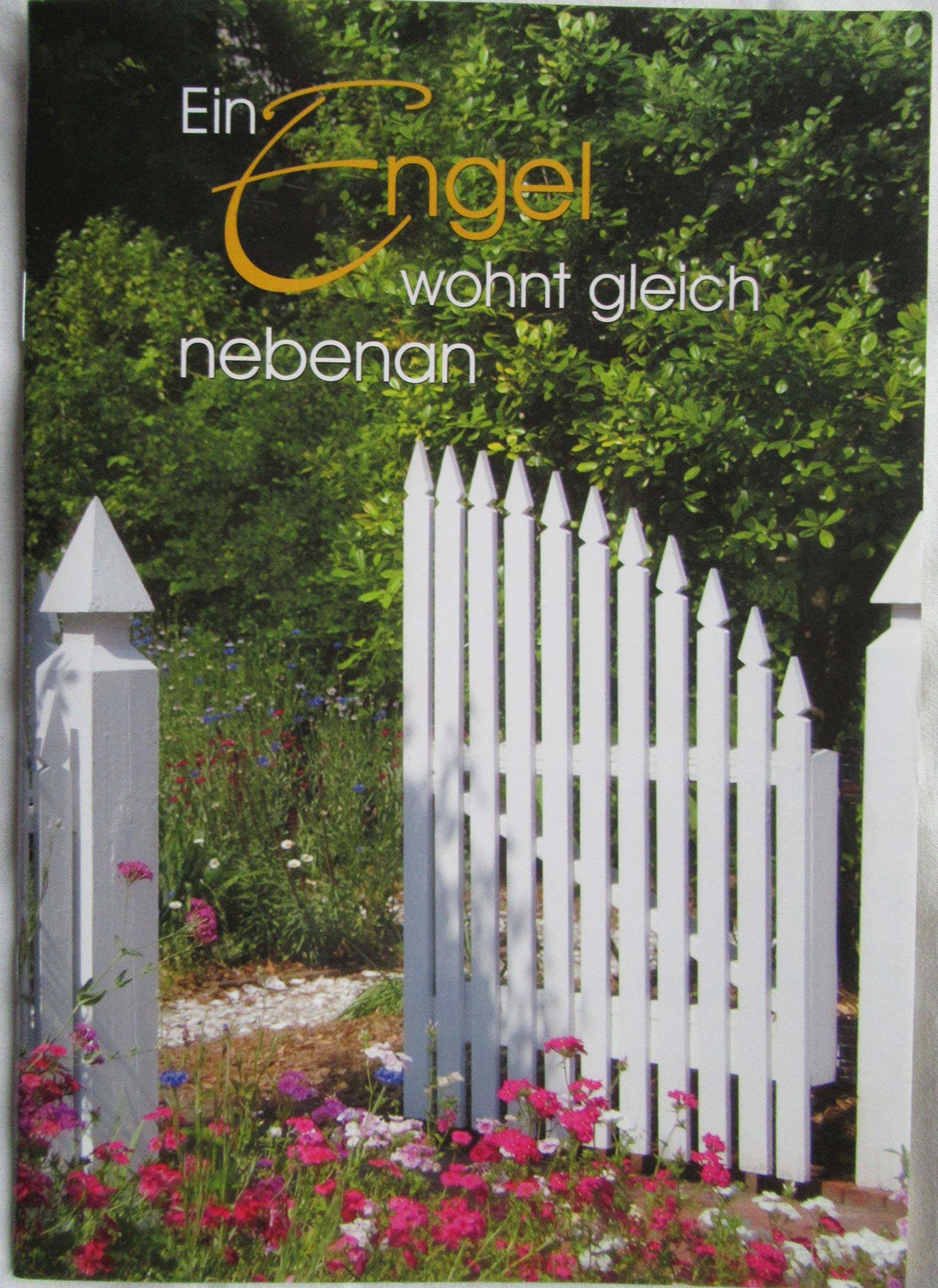 Für ein Leben in Freude (Kleine Grussbüchlein) Books