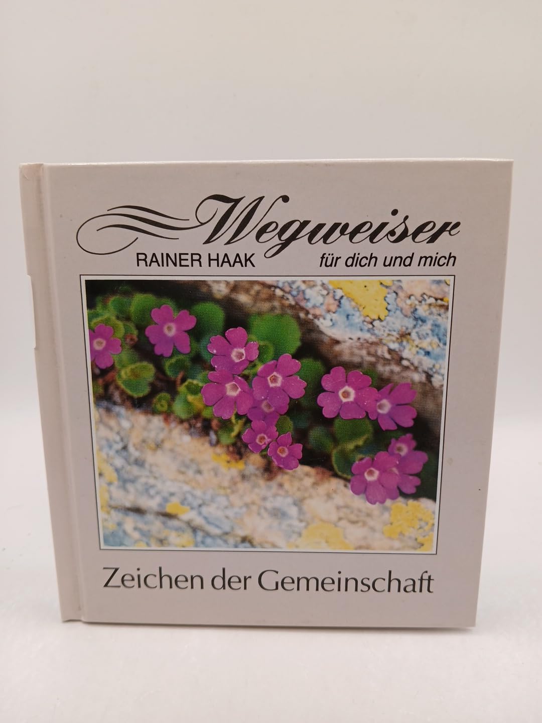 Zeichen der Gemeinschaft (Wegweiser für dich und mich) Books