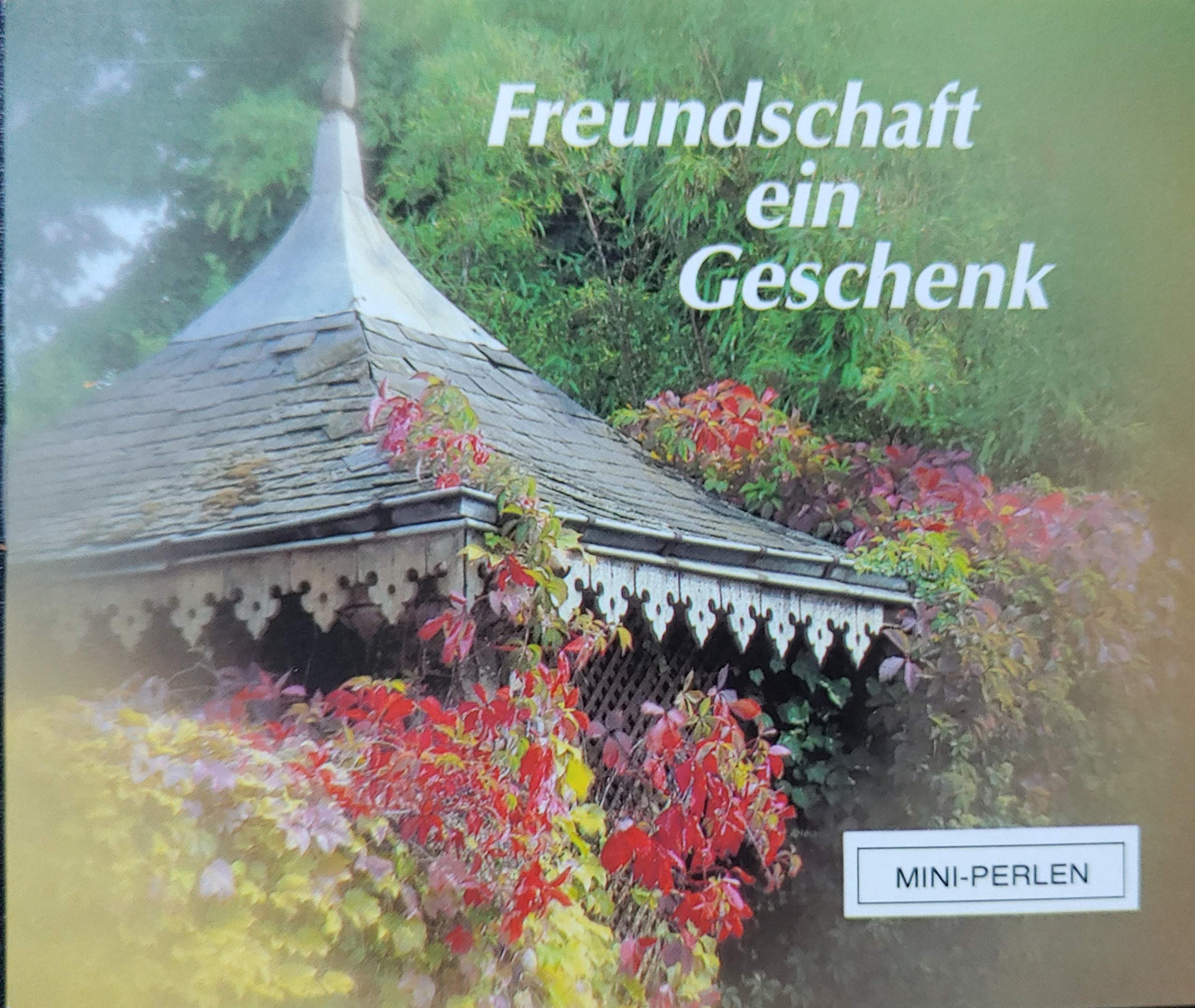 Freundschaft - ein Geschenk (Mini-Perlen) Books