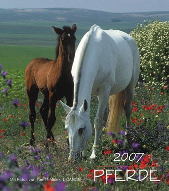 Product Image: Kalender, Pferde, Format 38 x 33,5 cm 2007