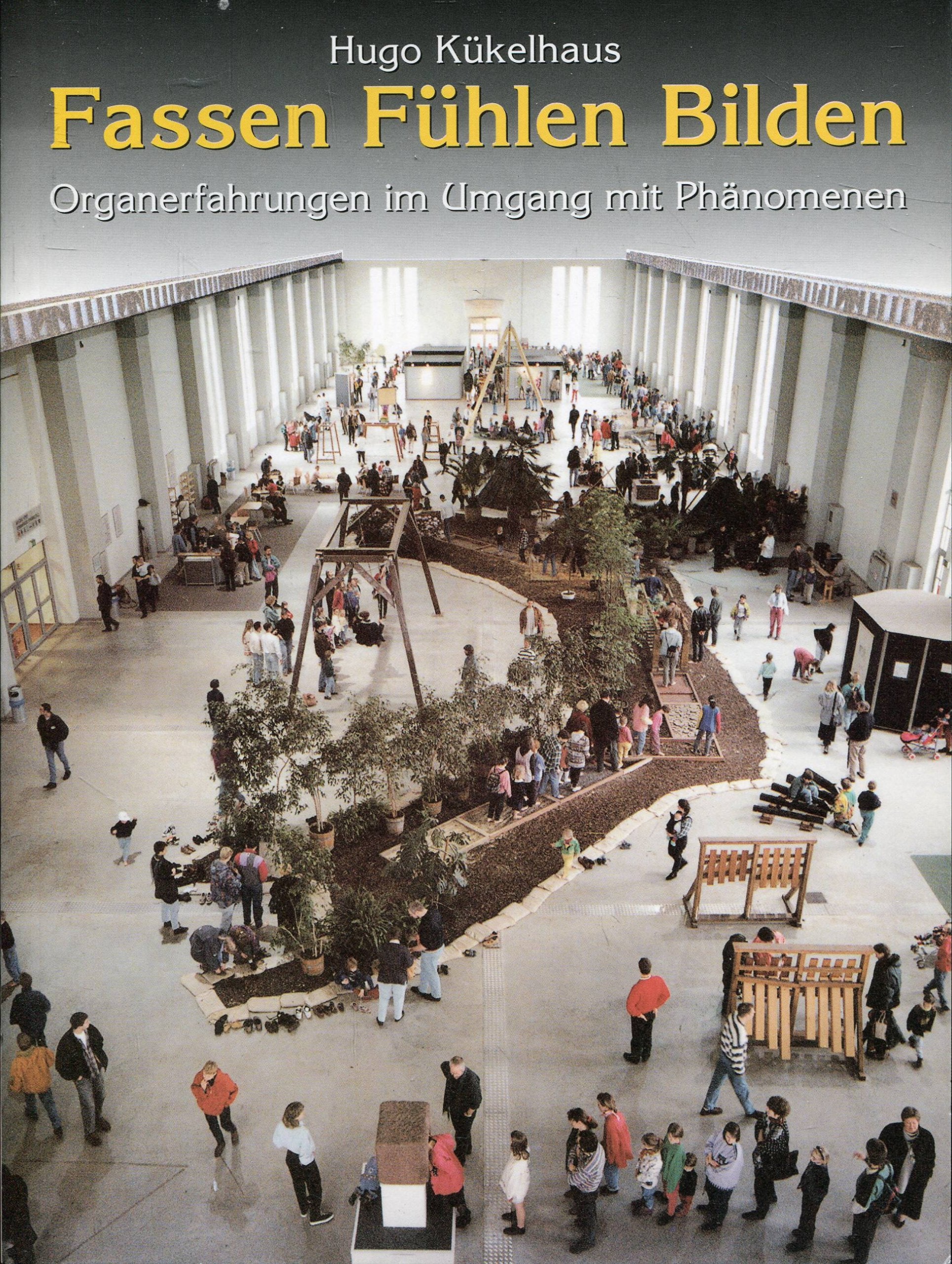 Fassen Fühlen Bilden. Organerfahrungen im Umgang mit Phänomenen Books