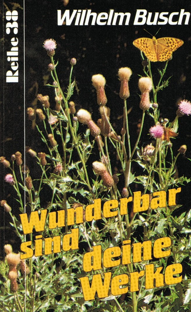 Wunderbar sind deine Werke. Vier Ansprachen über Texte aus den Psalmen. Books