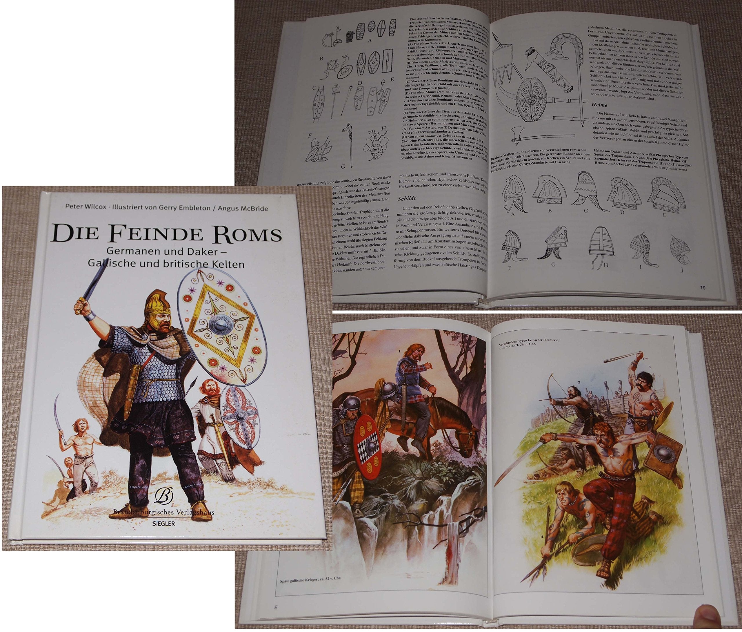 Die Feinde Roms: Germanen und Daker - Gallische und britische Kelten Politics & History