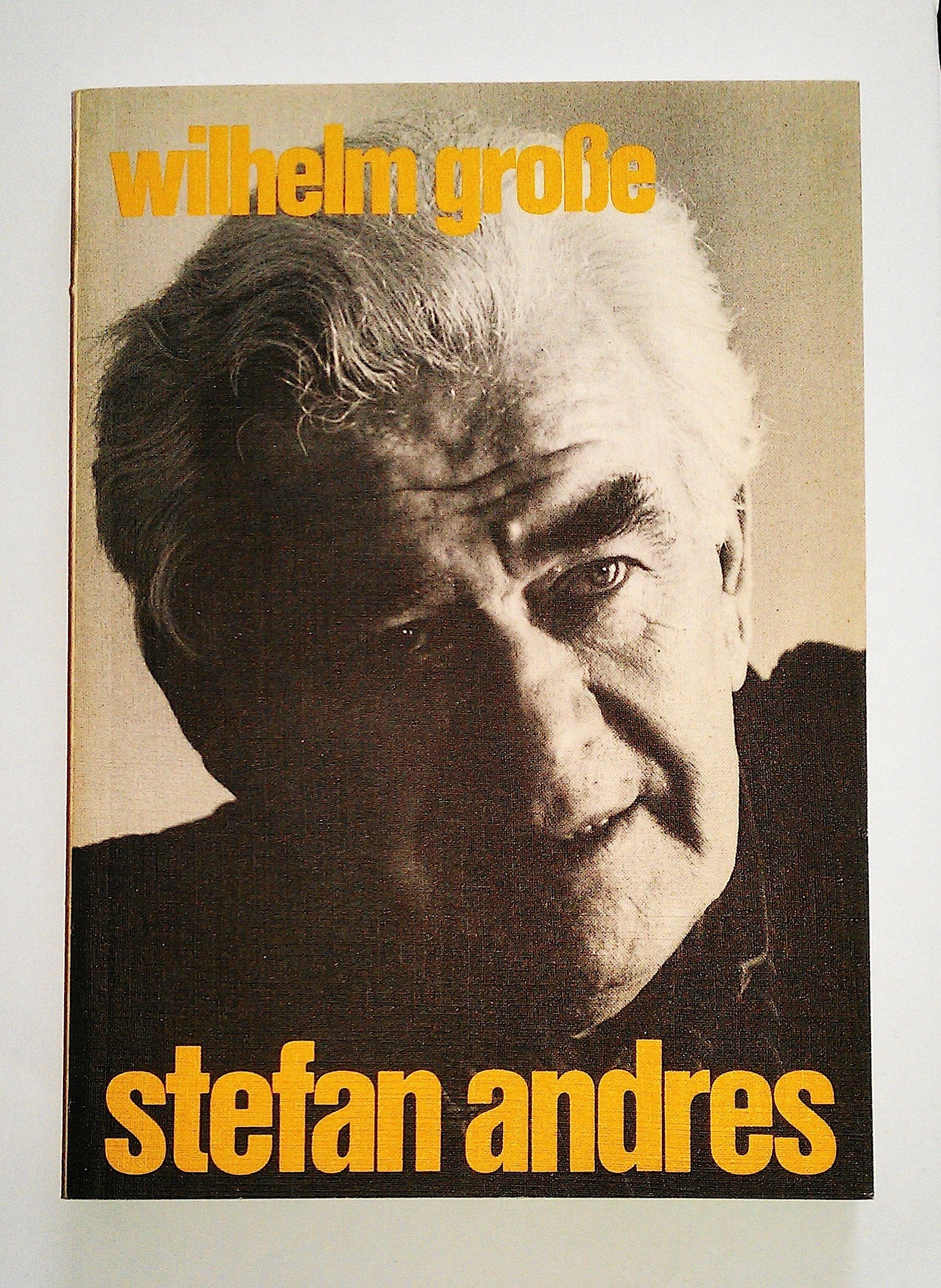 Stefan Andres. Ein Reader zu Person und Werk Professional & Reference Books