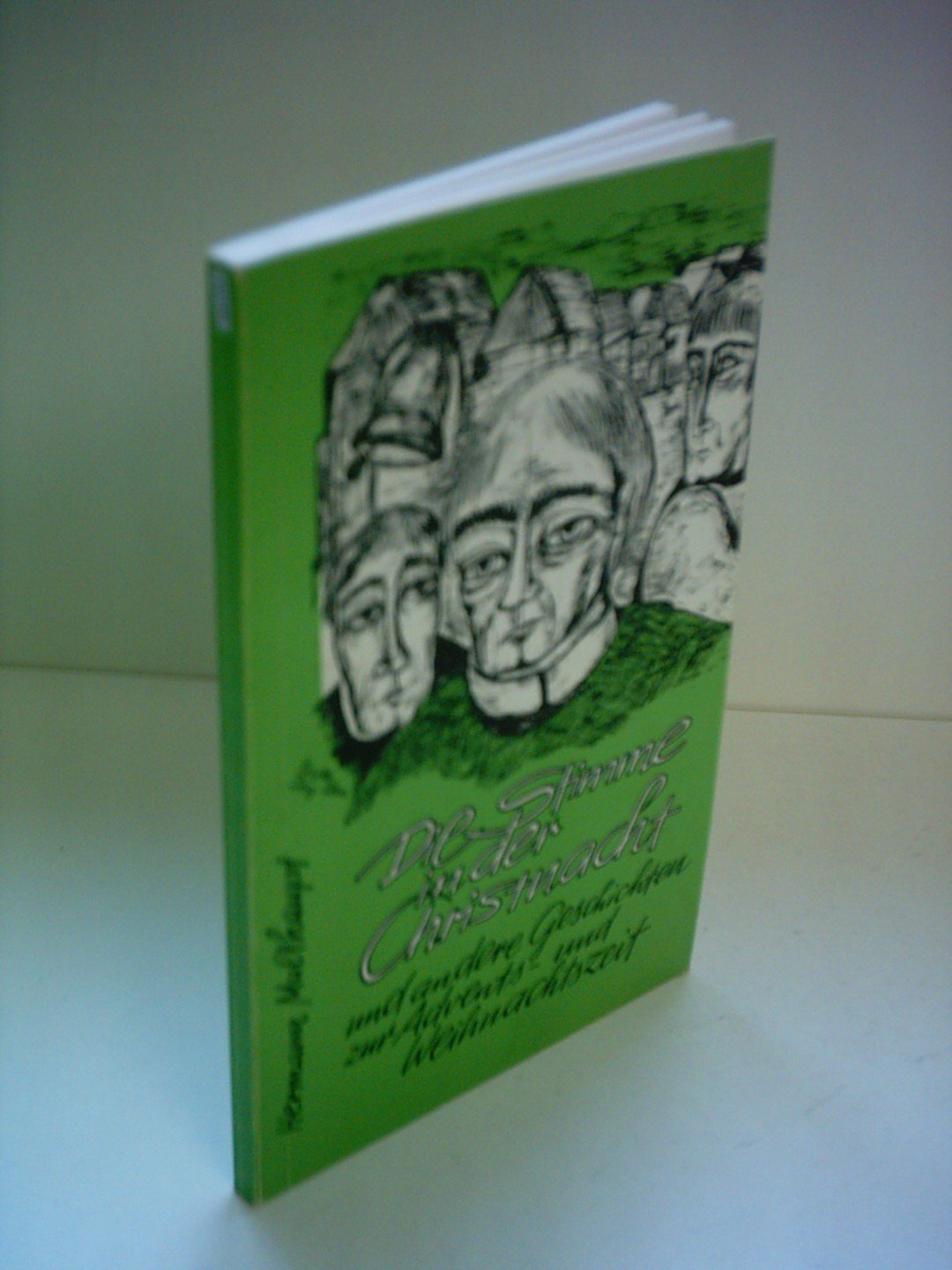 Die Stimme in der Christnacht. Und andere Geschichten zur Advents- und Weihnachtszeit Books