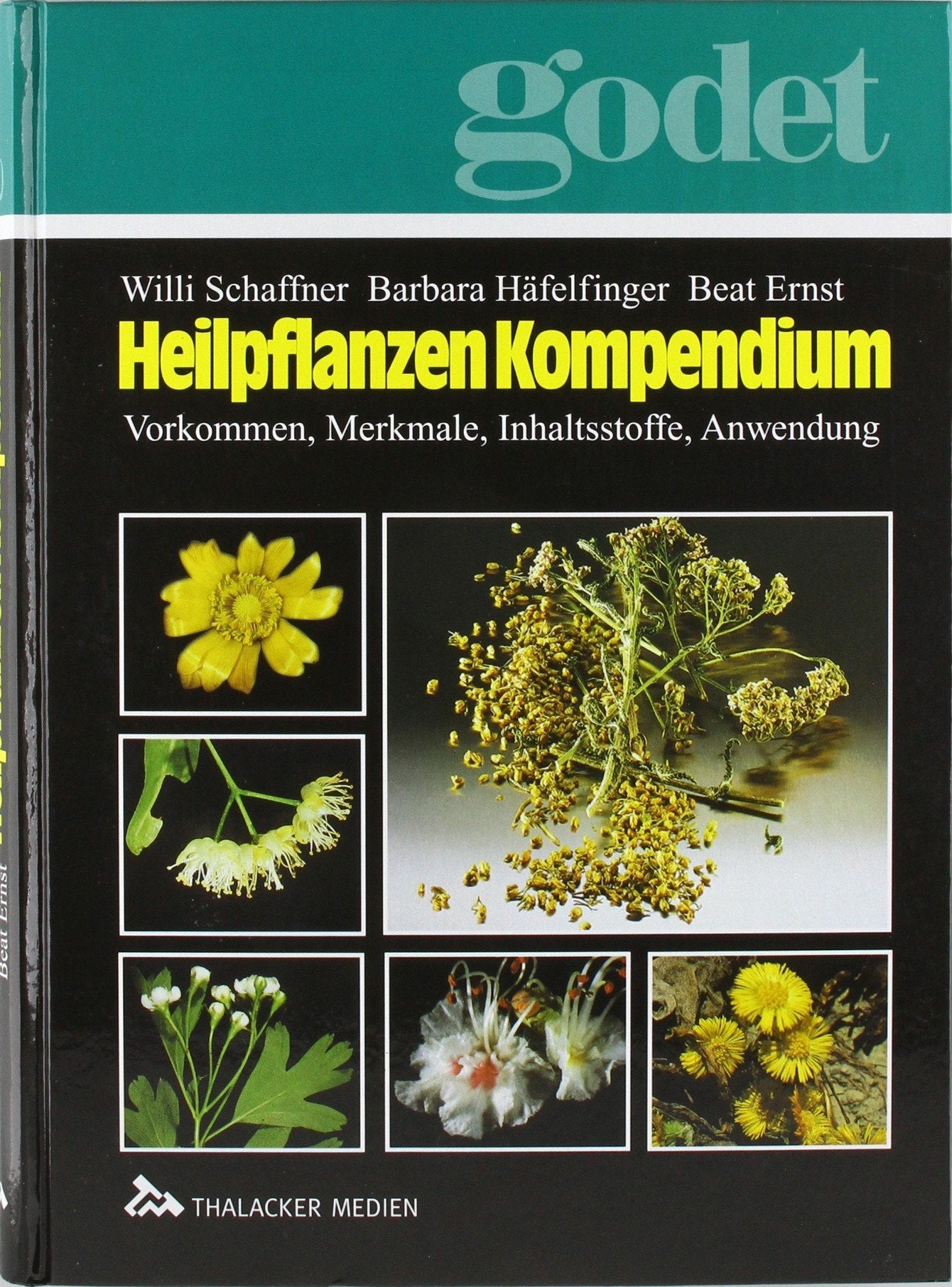 Heilpflanzen-Kompendium: Vorkommen, Merkmale, Inhaltsstoffe, Anwendung (Godet Pflanzenführer) Medicine