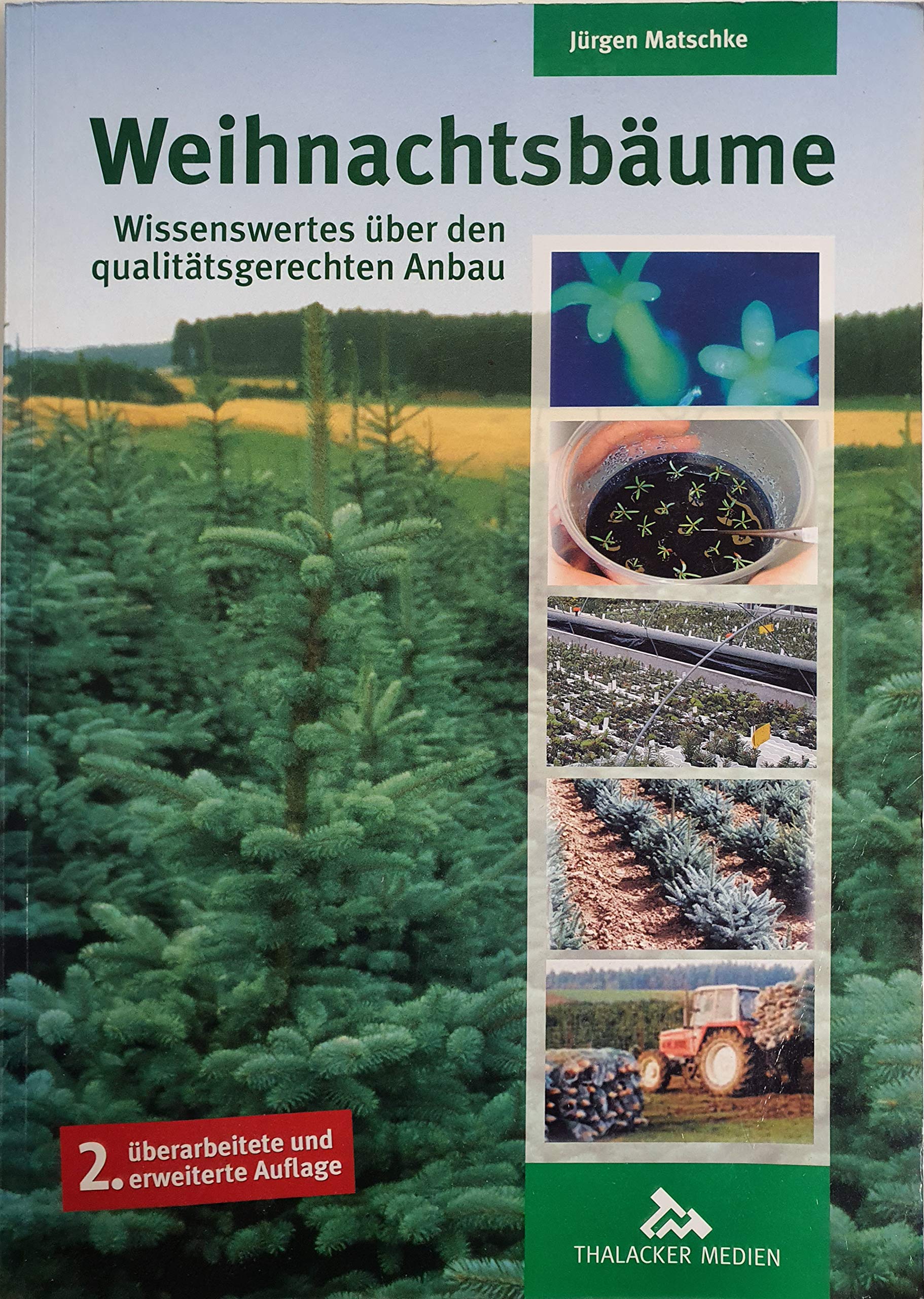 Weihnachtsbäume: Wissenswertes über den qualitätsgerechten Anbau Natural Sciences