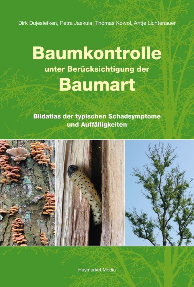 Baumkontrolle unter Berücksichtigung der Baumart Garden & Plants