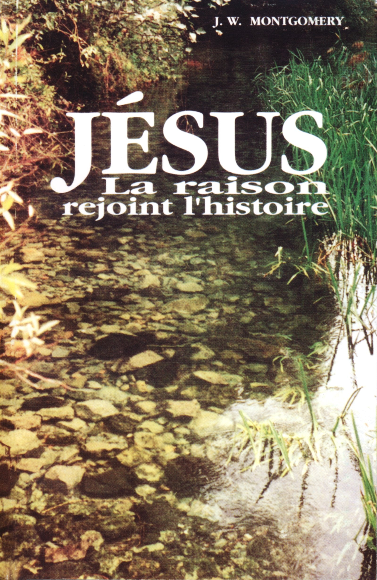 Jésus : La raison rejoint l'histoire Books