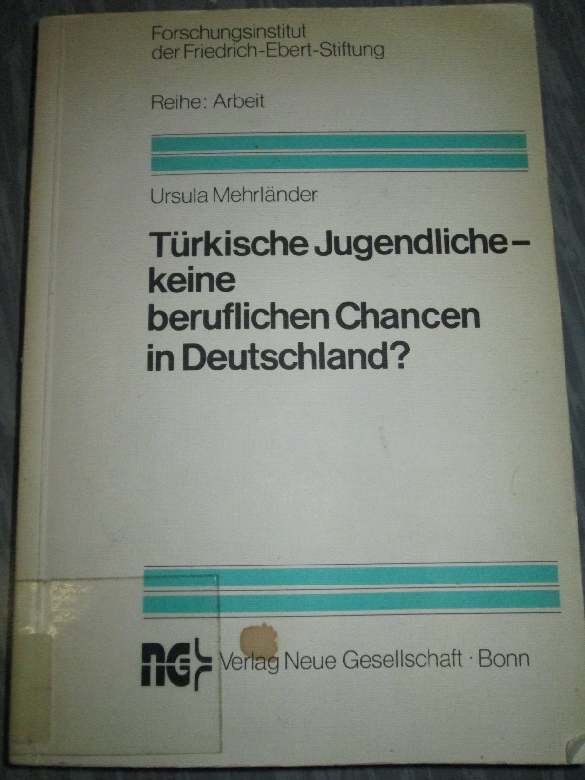 Türkische Jugendliche - keine beruflichen Chancen in Deutschland? Books