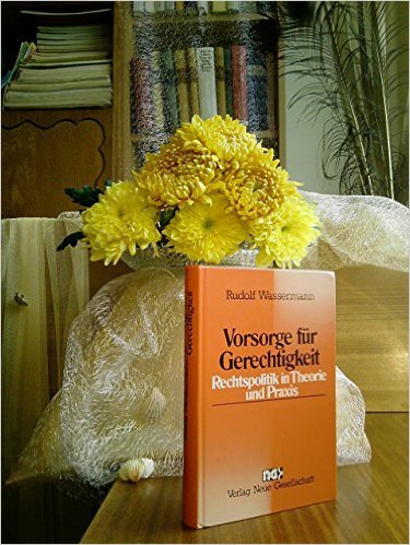 Vorsorge für Gerechtigkeit: Rechtspolitik in Theorie und Praxis Books