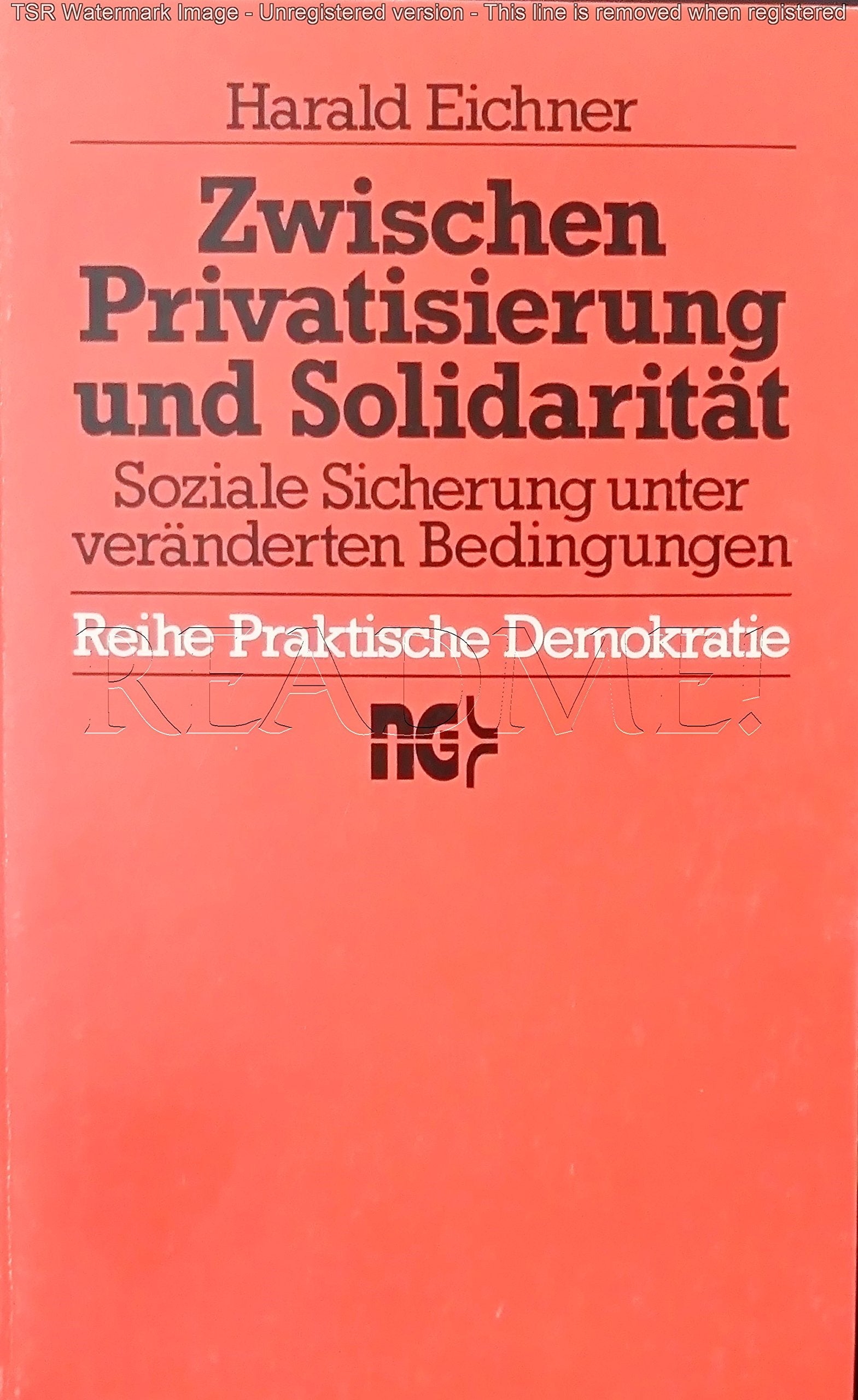 Zwischen Privatisierung und Solidarität: Soziale Sicherung unter veränderten Bedingungen (Reihe praktische Demokratie) Social Sciences