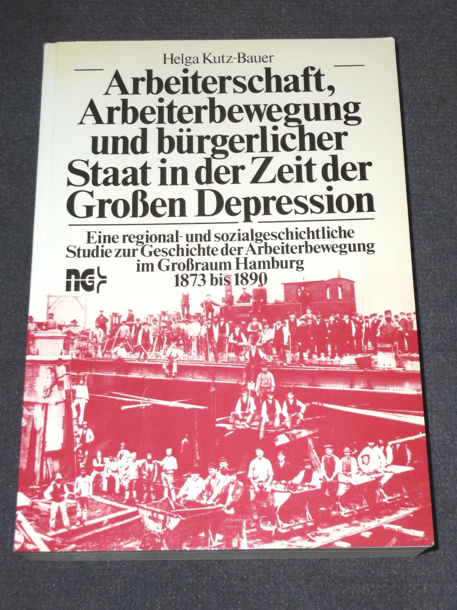 Arbeiterschaft, Arbeiterbewegung und bürgerlicher Staat in der Zeit der Großen Depression. Eine regional- und sozialgeschichtliche Studie zur Geschichte der Arbeiterbewegung im Großraum Hamburg 1873 Social Sciences